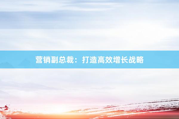 营销副总裁：打造高效增长战略
